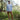 Pantalones cargo ROC™ Tech de Columbia para hombre