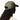 Gorra Columbia Unisex Provisions™